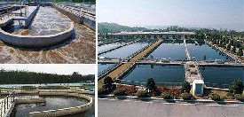 「南京詢價」污水處理廠專用污水木質柱狀活性炭“過濾效果好”