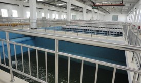「濟南詢價」自來水廠純凈水處理粉末活性炭“雖粉炭便宜，但消耗大，值得回收利用”